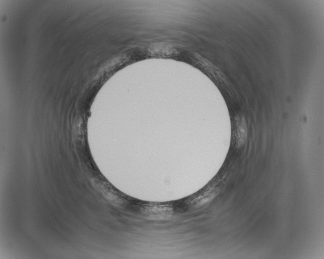 X0000081630619200702121706