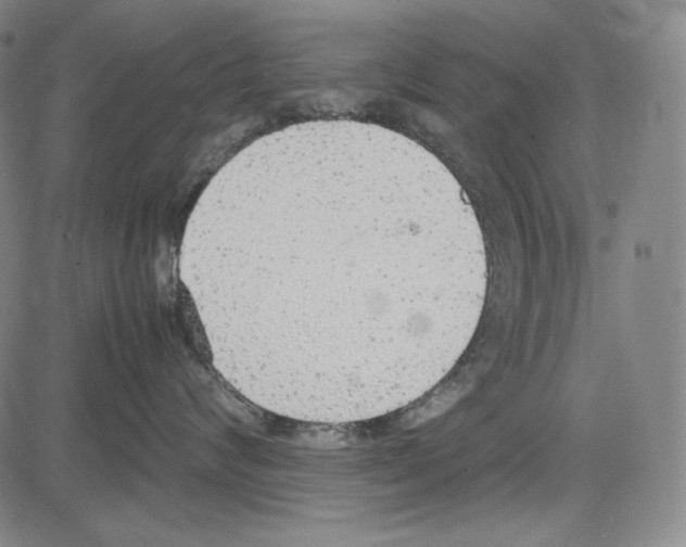 X0000081630624200702121706