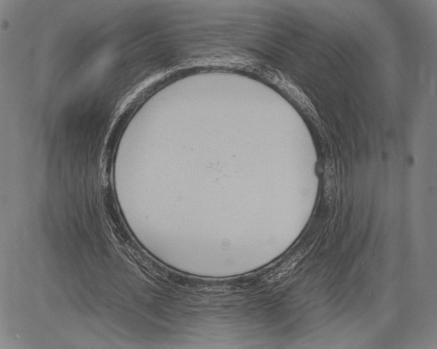 X0000081630628200702121705