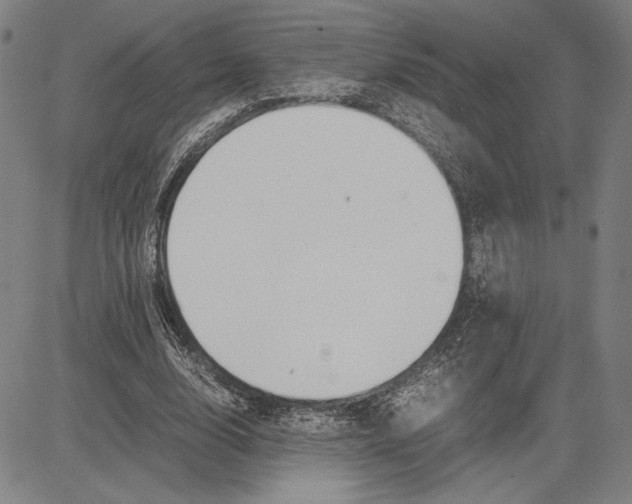 X0000081630632200702121706