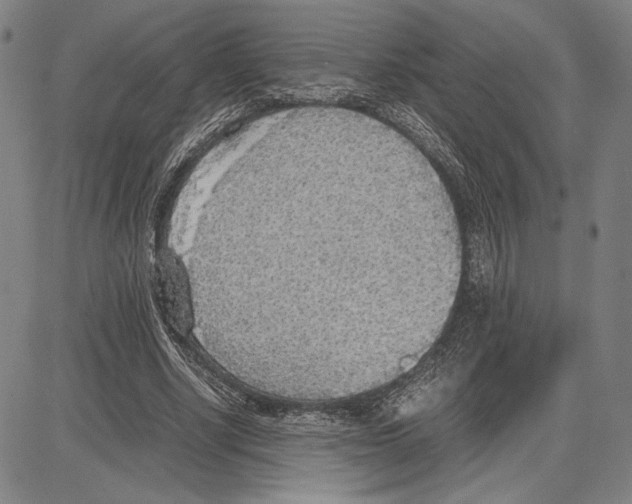 X0000081630634200702121706