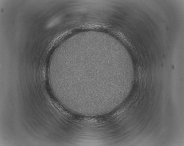 X0000081630640200702121706