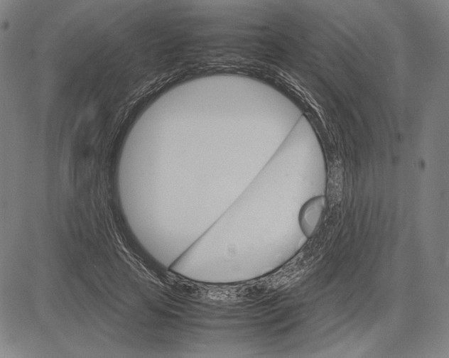 X0000081630641200702121706