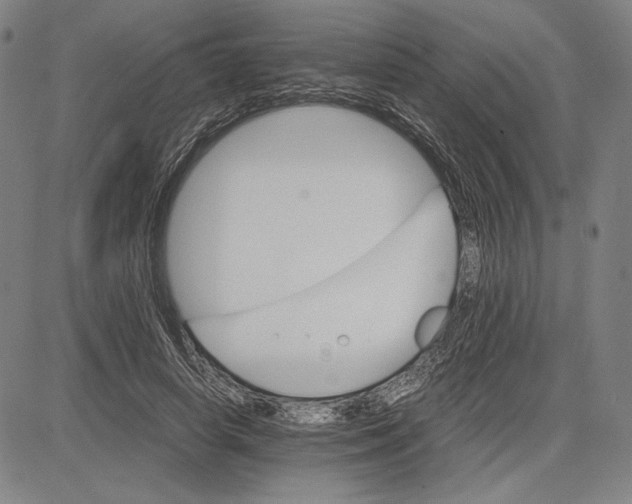 X0000081630642200702121706