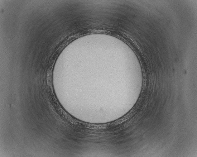 X0000081630643200702121706