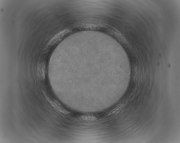 X0000081630644200702121706