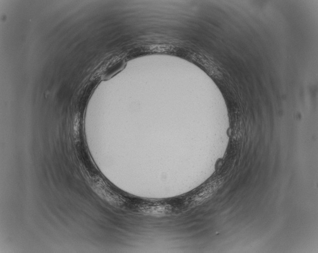 X0000081630646200702121706
