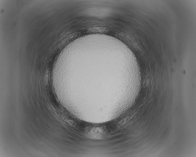 X0000081630647200702121706