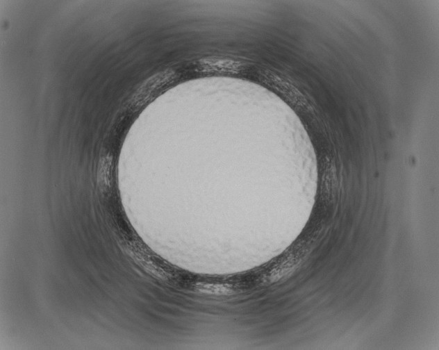 X0000081630649200702121706