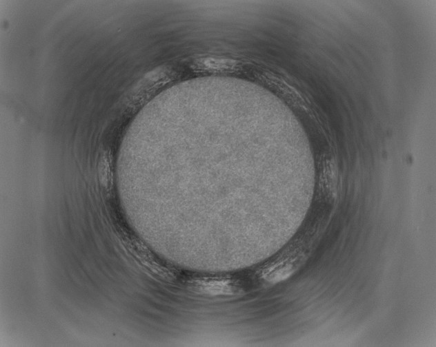 X0000081630651200702121706