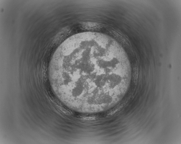 X0000081630653200702121706