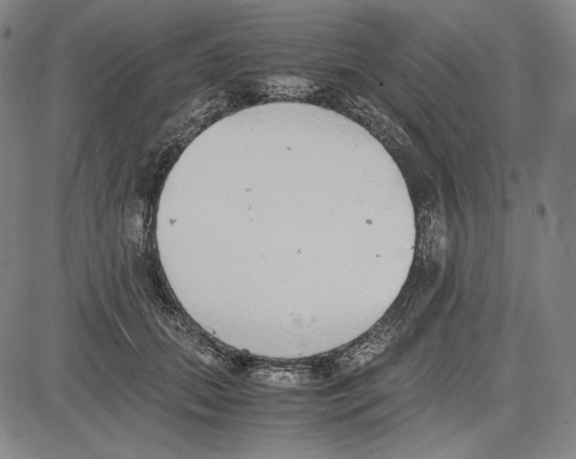 X0000081630655200702121706