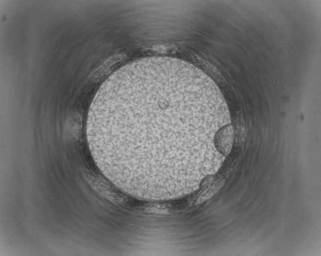 X0000081630656200702121706