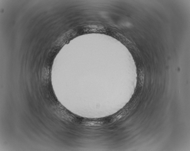 X0000081630657200702121706