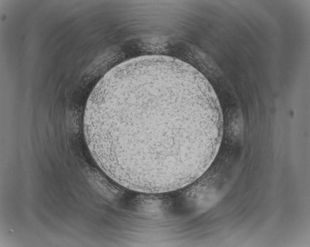 X0000081630658200702121706