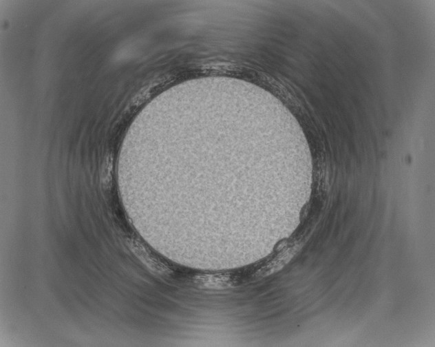 X0000081630660200702121706