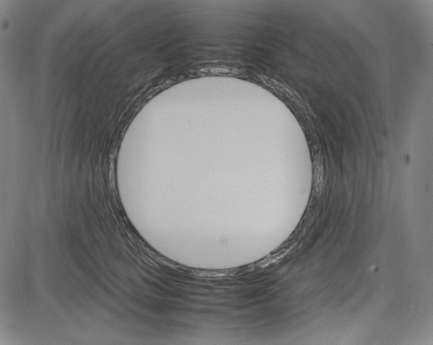 X0000081630661200702121706