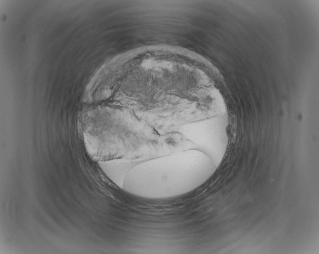 X0000081630662200702121706