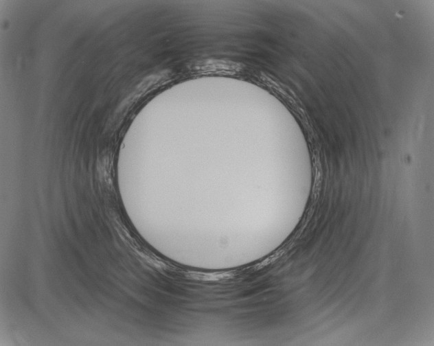 X0000081630663200702121706