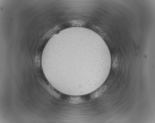 X0000081630666200702121706