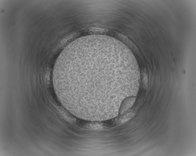 X0000081630668200702121706