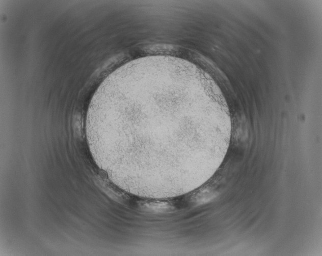 X0000081630669200702121706