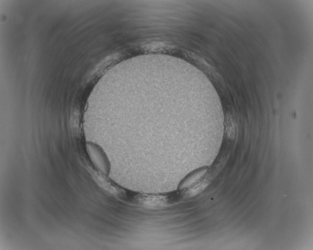 X0000081630670200702121706