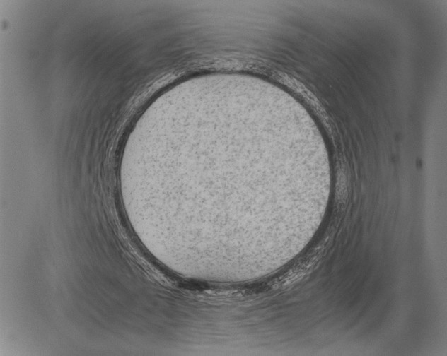 X0000081630673200702121705