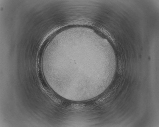 X0000081630680200702121705