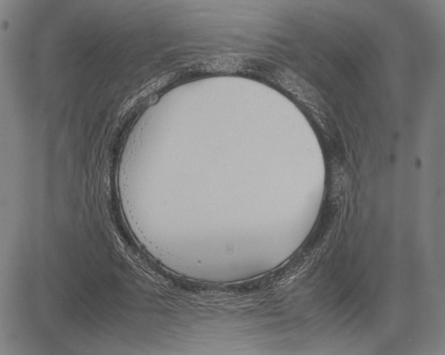 X0000081630681200702121705