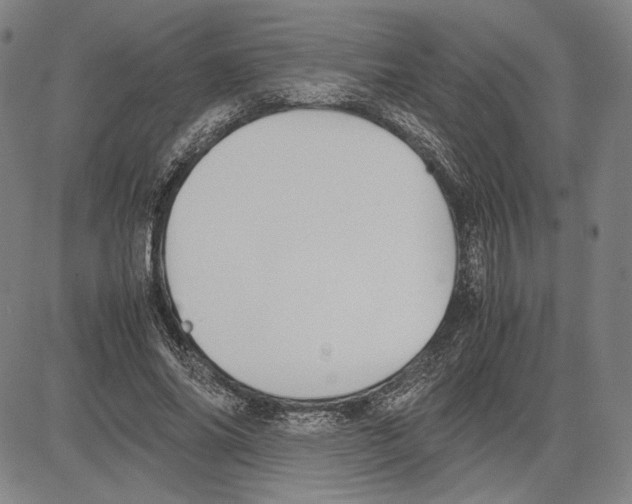 X0000081630686200702121705