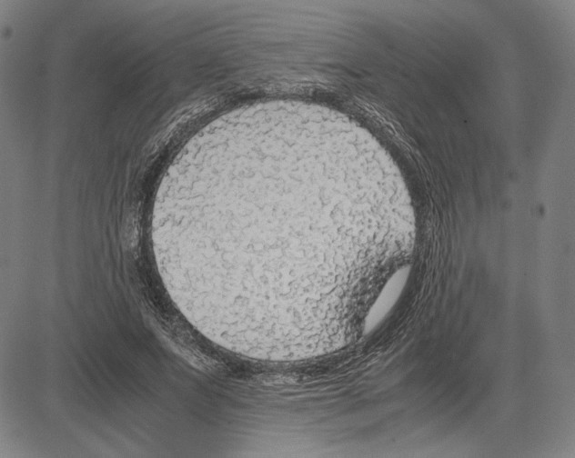 X0000081630687200702121705