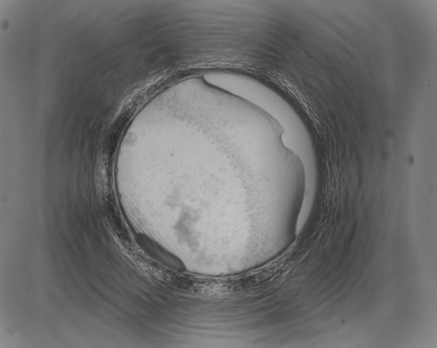 X0000081630688200702121705