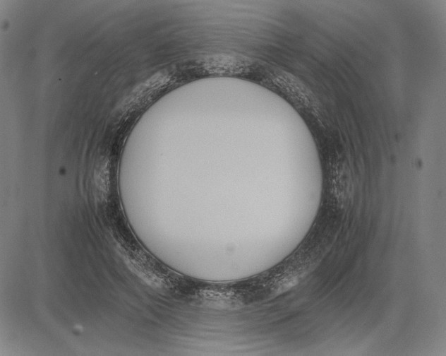 X0000081630690200702121705