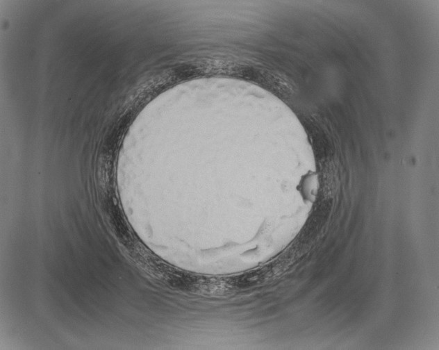 X0000081630695200702121705