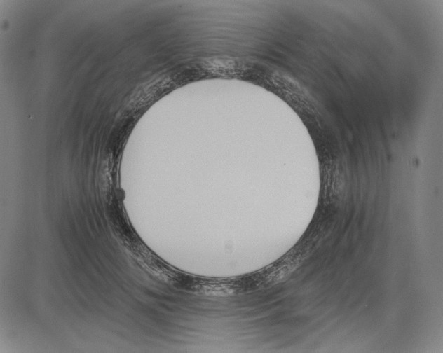 X0000081630702200702121705