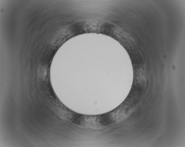 X0000081630709200702121705