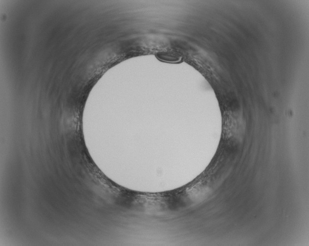 X0000081630713200702121705