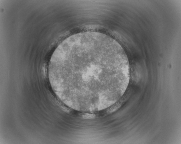 X0000081630718200702121705