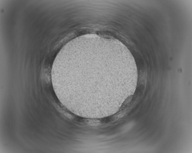 X0000081630719200702121705