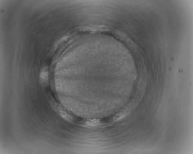 X0000081630720200702121705