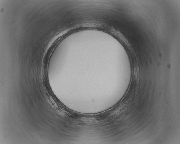 X0000081630724200702121704
