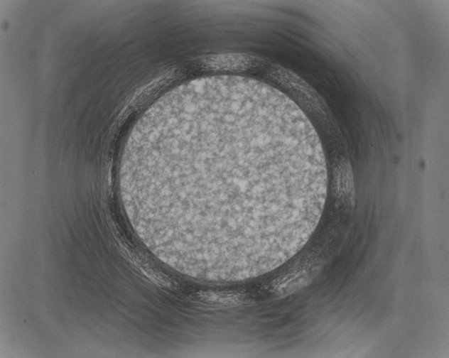 X0000081630733200702121704