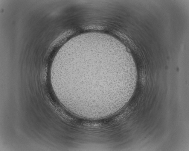 X0000081630735200702121704