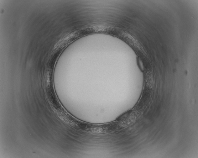 X0000081630740200702121704