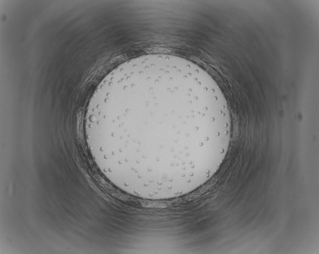 X0000081630742200702121704