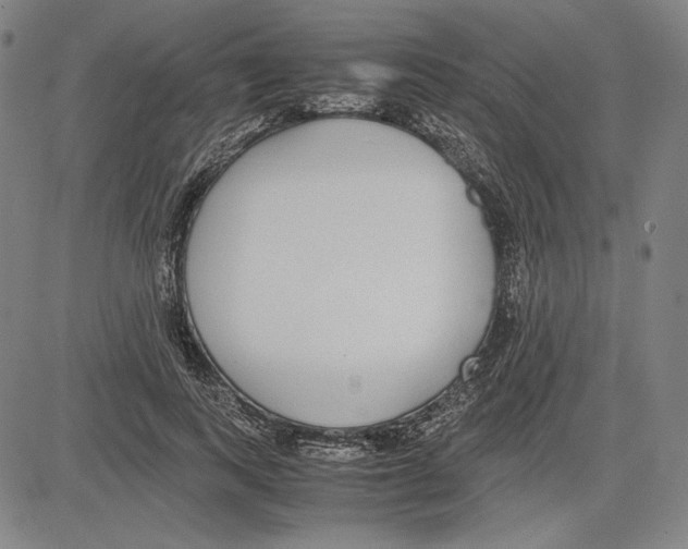 X0000081630743200702121704