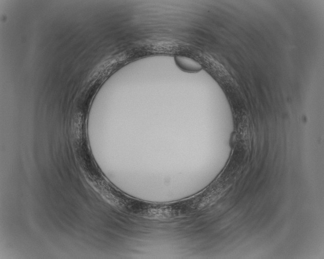 X0000081630744200702121704