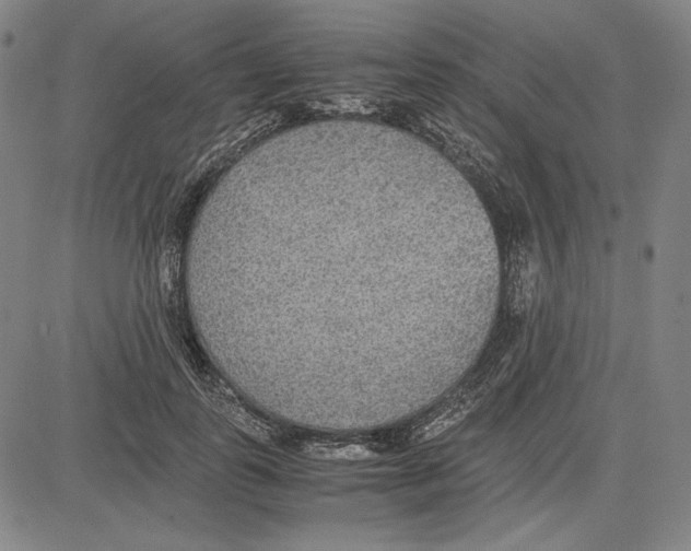 X0000081630747200702121704