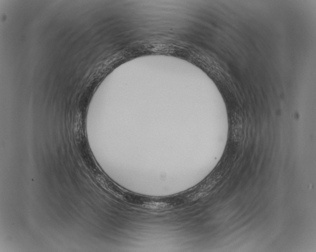X0000081630748200702121704